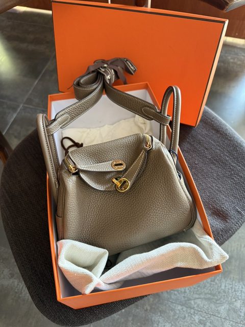 Hermes mini lindy